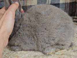 Screenshot_20240112_173026_Video Player.jpg Screenshot_20240112_173026_Video Player.jpg