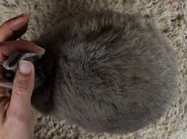 Screenshot_20240112_173034_Video Player.jpg Screenshot_20240112_173034_Video Player.jpg