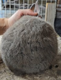 Screenshot_20240112_173041_Video Player.jpg Screenshot_20240112_173041_Video Player.jpg