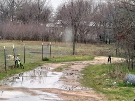 P_20240103_090044.jpg P_20240103_090044.jpg