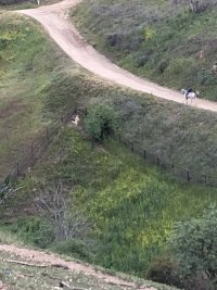 IMG_5617.JPG IMG_5617.JPG