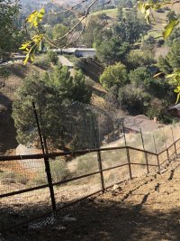 IMG_6274.JPG IMG_6274.JPG