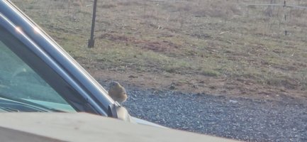 Screenshot_20240214_094552_Video Player.jpg Screenshot_20240214_094552_Video Player.jpg