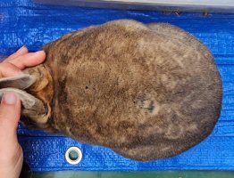 Screenshot_20240322_123235_Video Player.jpg