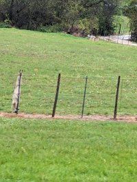 TX predator control 1.jpg