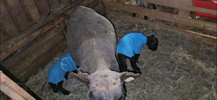 Screenshot_20240402_193716_Video Player.jpg