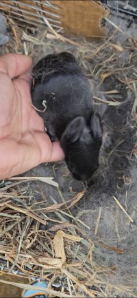 Screenshot_20240407_131552_Video Player.jpg