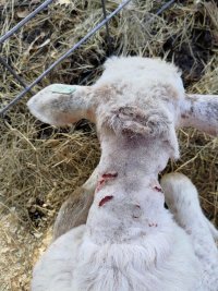 P_20240411_182713.jpg P_20240411_182713.jpg