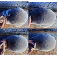 GridArt_20240427_160820727.jpg GridArt_20240427_160820727.jpg