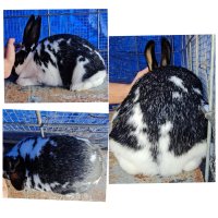 GridArt_20240427_140355594.jpg GridArt_20240427_140355594.jpg