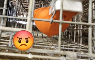 20240501_140112.jpg 20240501_140112.jpg