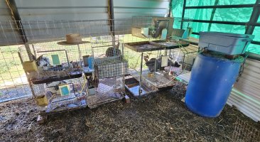 20240501_144916.jpg 20240501_144916.jpg