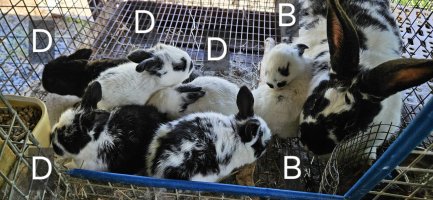 20240501_145429.jpg 20240501_145429.jpg