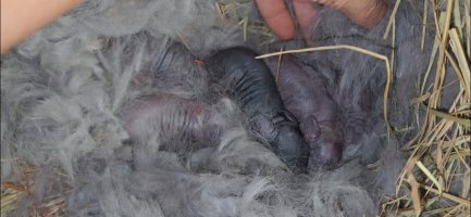 Screenshot_20240504_182404_Video Player.jpg Screenshot_20240504_182404_Video Player.jpg