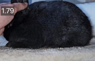 Screenshot_20240504_182649_Video Player.jpg Screenshot_20240504_182649_Video Player.jpg