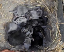 Screenshot_20240510_125242_Video Player.jpg Screenshot_20240510_125242_Video Player.jpg