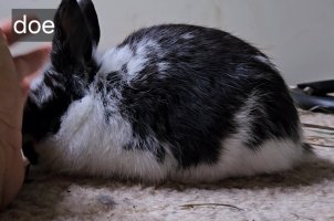 Screenshot_20240509_133922_Video Player.jpg Screenshot_20240509_133922_Video Player.jpg