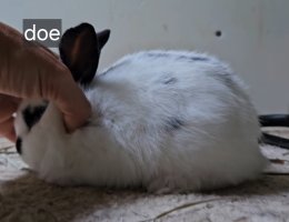 Screenshot_20240509_133839_Video Player.jpg Screenshot_20240509_133839_Video Player.jpg