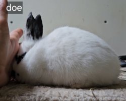 Screenshot_20240509_133715_Video Player.jpg Screenshot_20240509_133715_Video Player.jpg