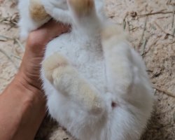 Screenshot_20240509_133805_Video Player.jpg Screenshot_20240509_133805_Video Player.jpg