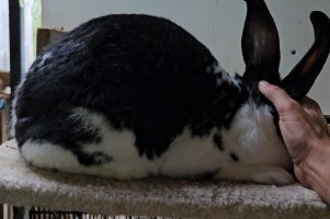 Screenshot_20240509_135456_Video Player.jpg Screenshot_20240509_135456_Video Player.jpg