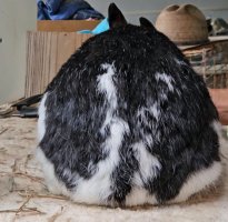 Screenshot_20240509_135518_Video Player.jpg Screenshot_20240509_135518_Video Player.jpg