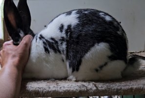 Screenshot_20240509_135554_Video Player.jpg Screenshot_20240509_135554_Video Player.jpg