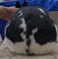 Screenshot_20240509_141712_Video Player.jpg Screenshot_20240509_141712_Video Player.jpg