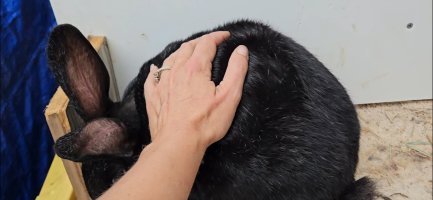 Screenshot_20240509_141516_Video Player.jpg