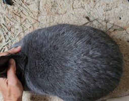 Screenshot_20240509_133354_Video Player.jpg