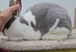 Screenshot_20240509_140946_Video Player.jpg