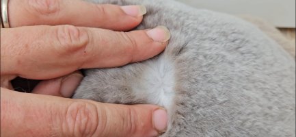 Screenshot_20240509_141253_Video Player.jpg