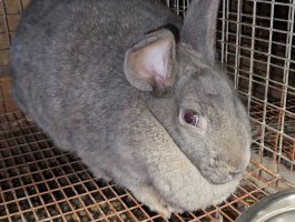 Screenshot_20240510_125325_Video Player.jpg