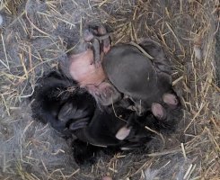 Screenshot_20240510_125130_Video Player.jpg