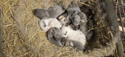 Screenshot_20240521_114442_Video Player.jpg