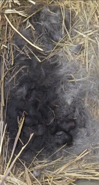 Screenshot_20240526_103428_Video Player.jpg