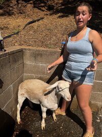 IMG_6377.jpeg IMG_6377.jpeg