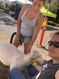 IMG_6379.jpeg IMG_6379.jpeg