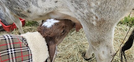 20241105_160500.jpg 20241105_160500.jpg