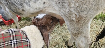 20241105_160501.jpg 20241105_160501.jpg