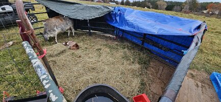 20241105_164742.jpg 20241105_164742.jpg