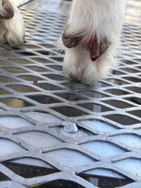 IMG_2970.jpeg