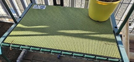 20250228_162228.jpg 20250228_162228.jpg