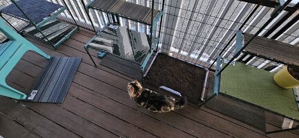 20250228_181602.jpg 20250228_181602.jpg