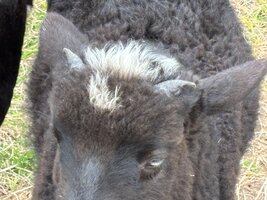 IMG_7708.jpeg