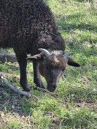 IMG_7757.jpeg