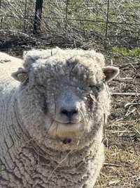 IMG_0339.jpeg