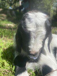 IMG_6541.jpeg