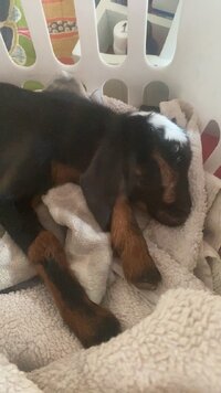 IMG_6533.jpeg