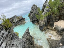 IMG_3522.jpeg
